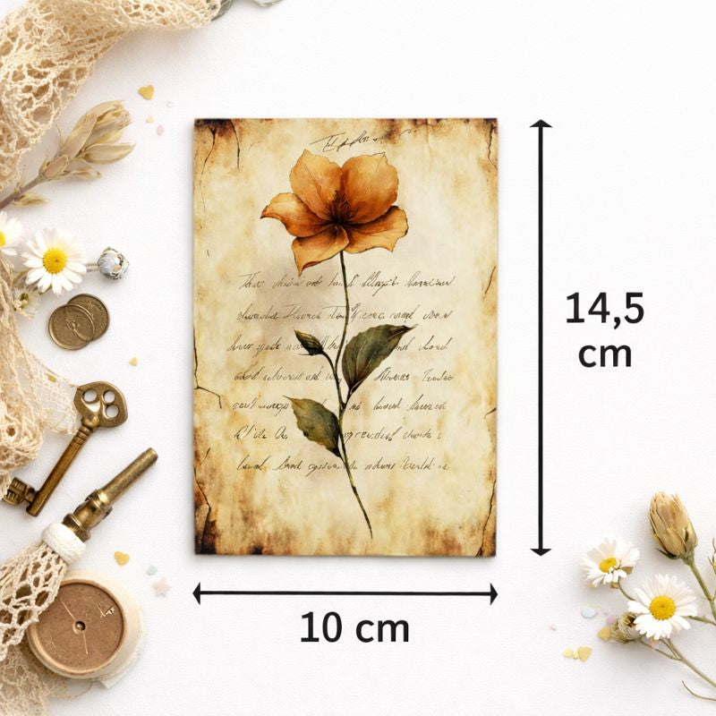 Postal Vintage Botânico — Colecção Clássica